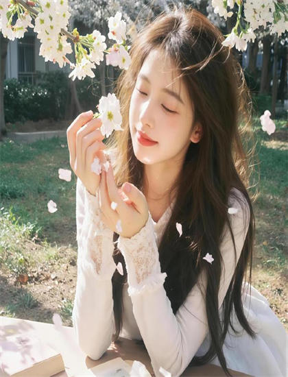 《芙蓉女》评分测评：是否值得花时间观看的深度分析，卫视热播